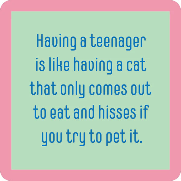 Teenager Cat Coaster